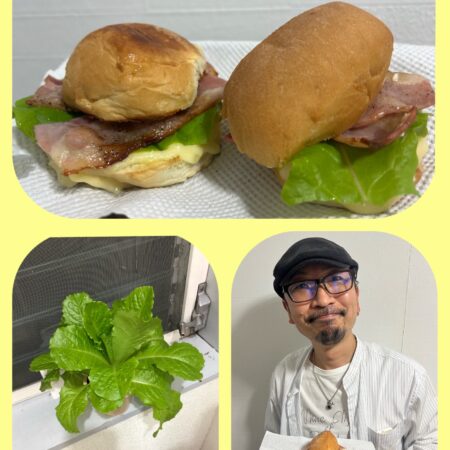 タネから育てたサンチュでバーガー振る舞ってみた。。